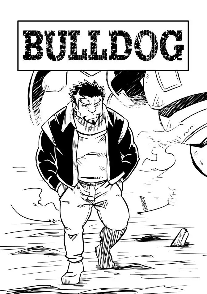 Bull Dog