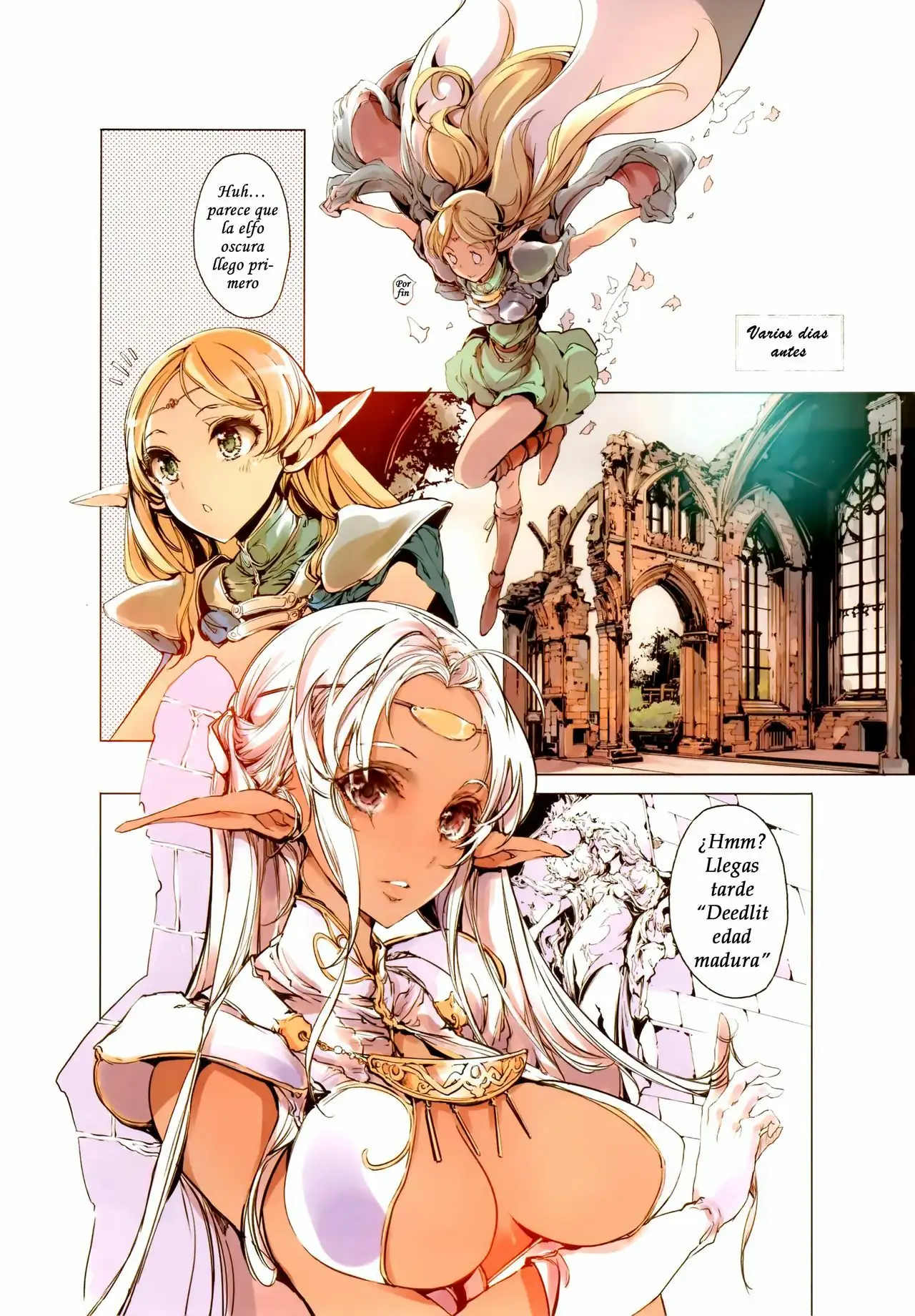  Elfas- Record of Lodoss War (Sin Censura) Color