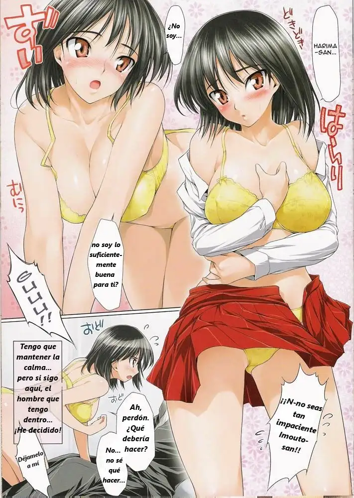 [NiseMIDIdoronokai (Ishikei)] Harimaro (School Rumble)