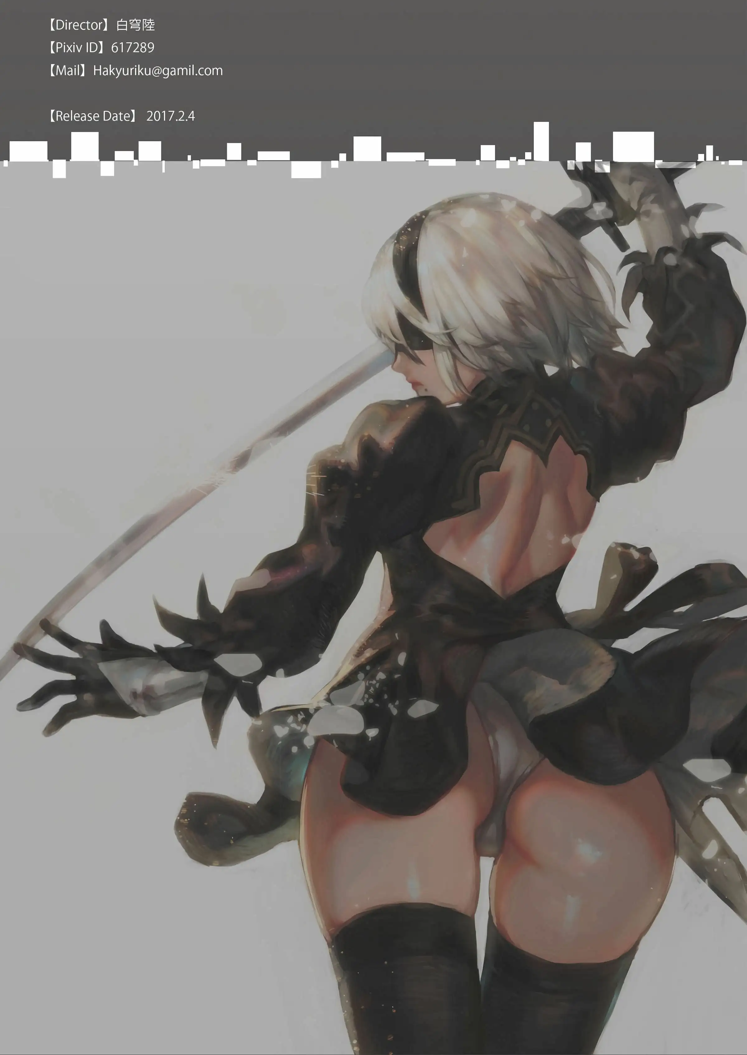 [Aoinhatsu (Aoin)] 2B9S (NieR Automata)