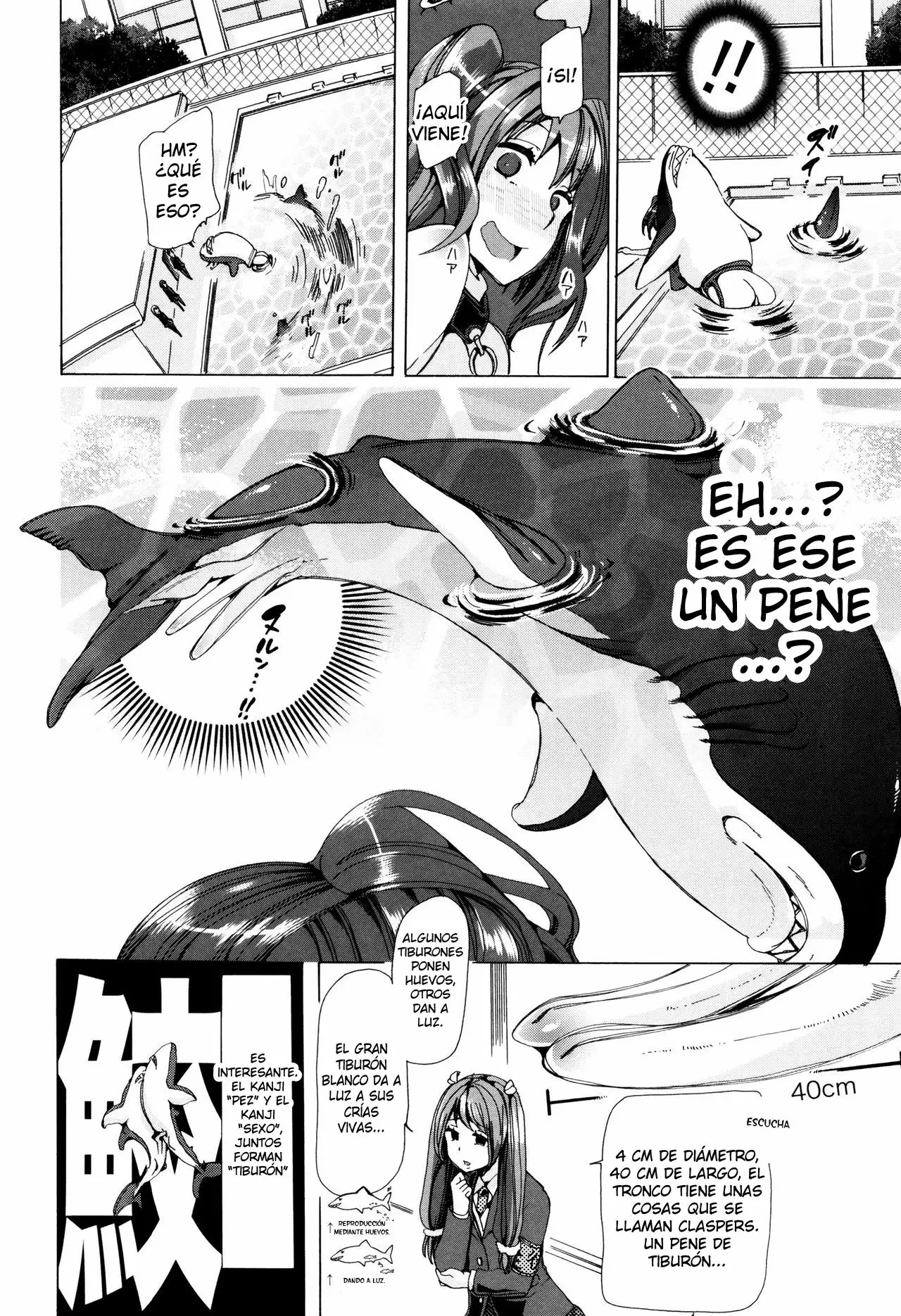 (Chikiko) Bestiality Class Ch 4 (Spanish) (TheSilverLine)