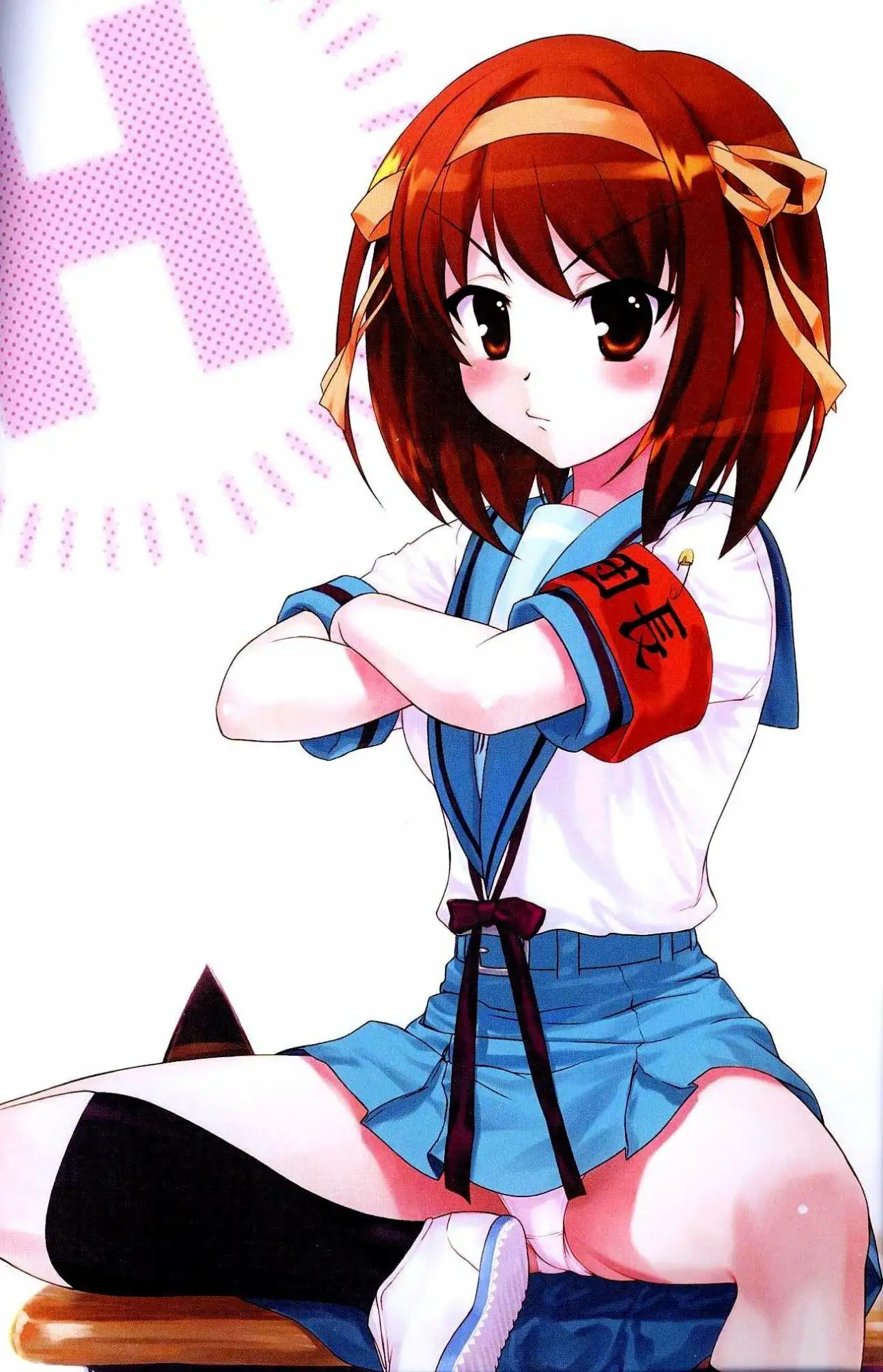 Suzumiya Haruhi No Rinkan 2