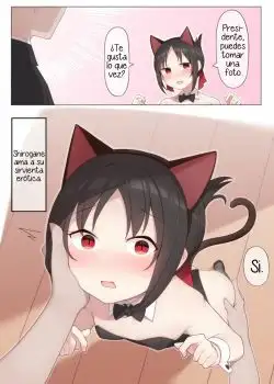 Nekomimi no Kaguya-sama