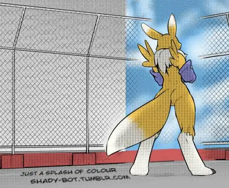 Minna no Renamon - Renamon Para Todos Vol1