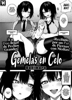 Gemelas en Celo