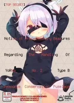 NieR Automata