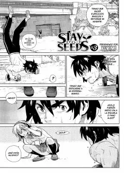 STAY SEEDS 3