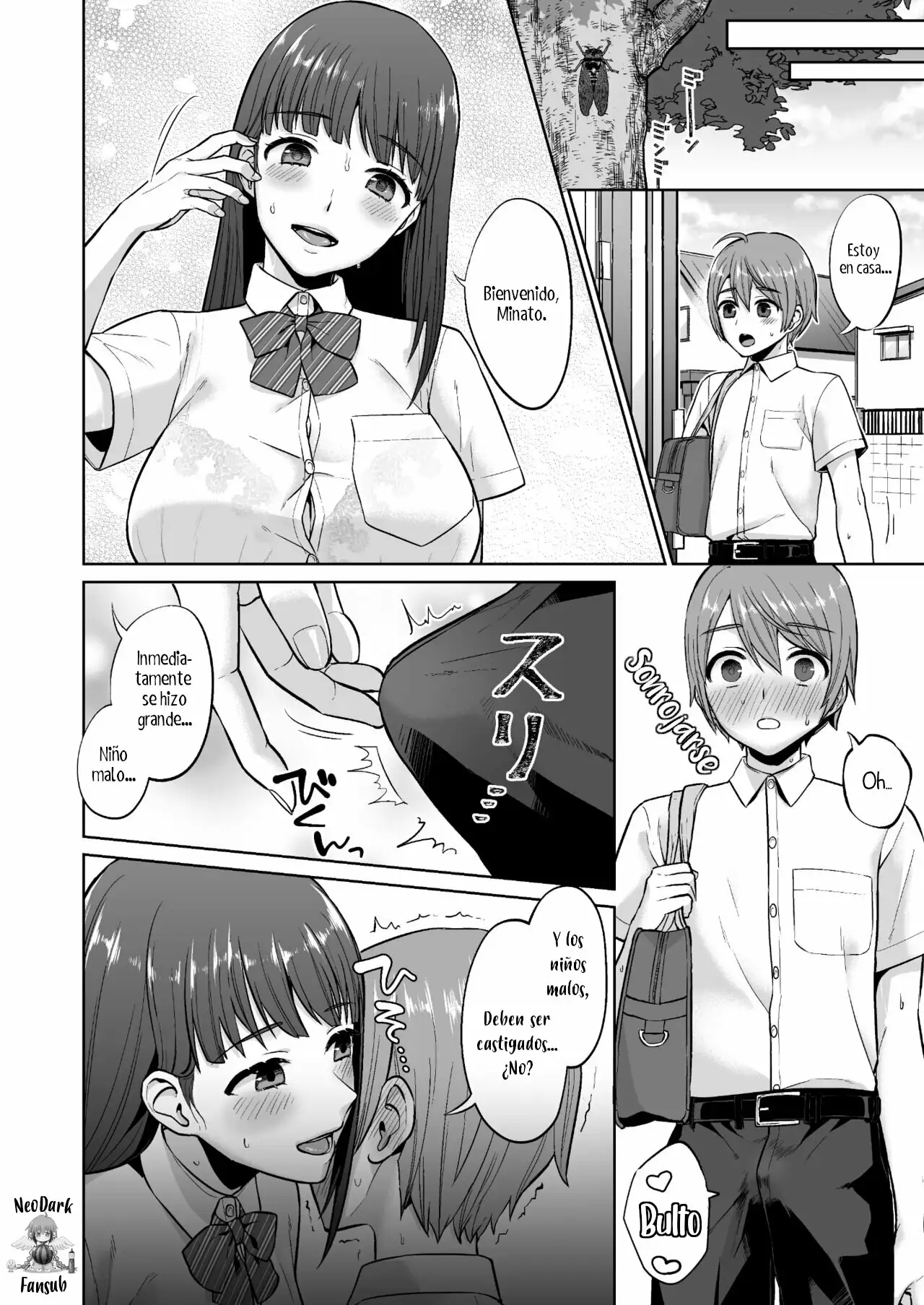 Ottori Onee-chan no Ecchi na Honshou