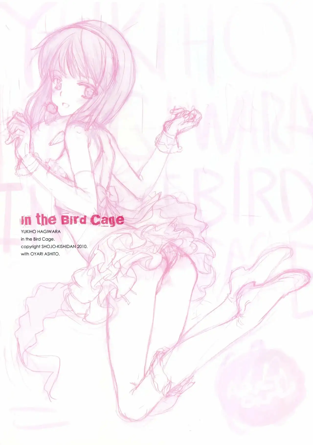 IDOLTIME SPECIAL BOOK YUKIHO HAGIWARA In The Bird Cage