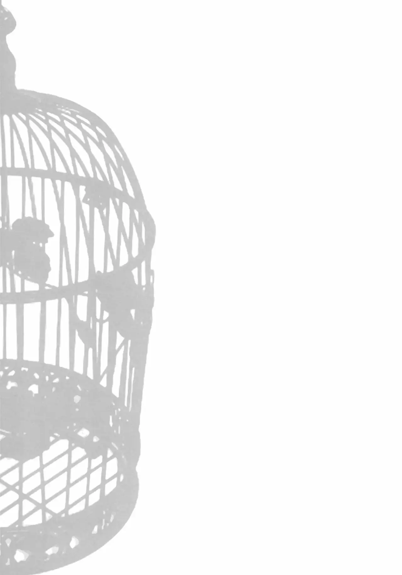 IDOLTIME SPECIAL BOOK YUKIHO HAGIWARA In The Bird Cage