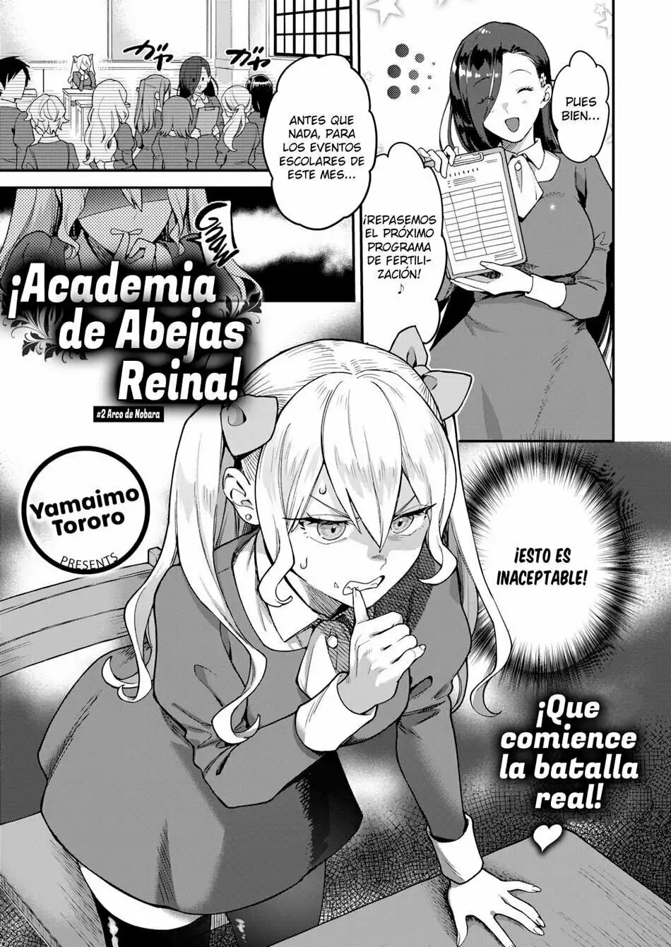 Academia de Abejas Reina #2