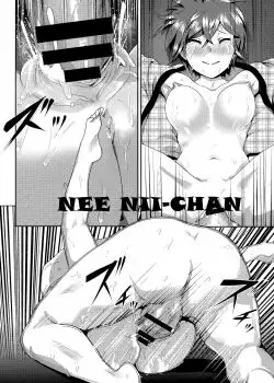 Nee Nii-chan Completo