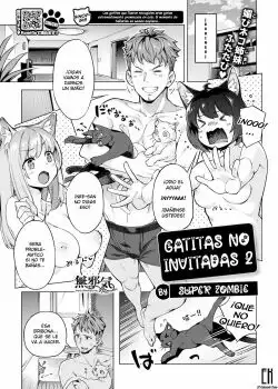 GATITAS NO INVITADAS 2