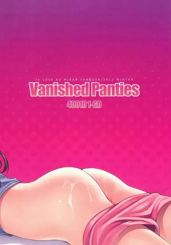 Vanished Panties