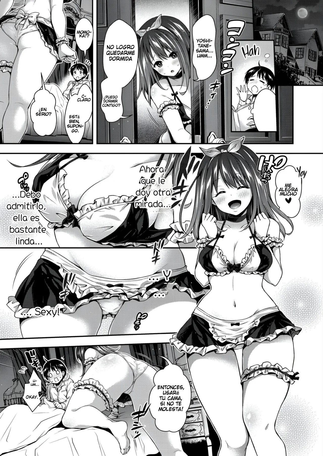 Harem Maid no Damedame Ecchi 