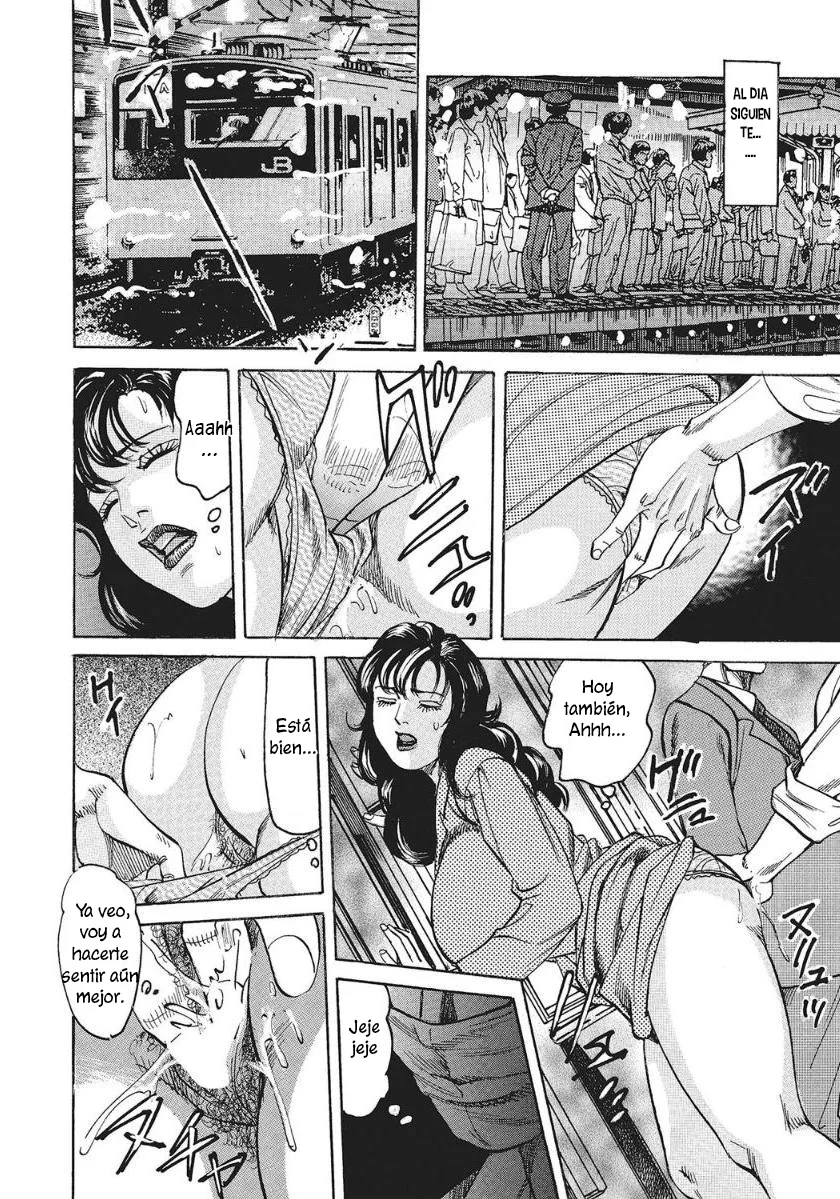 El Tren del acoso y Hermosa Madre Madura [Mizushima Sei] Chikan Densha to Bijukubo