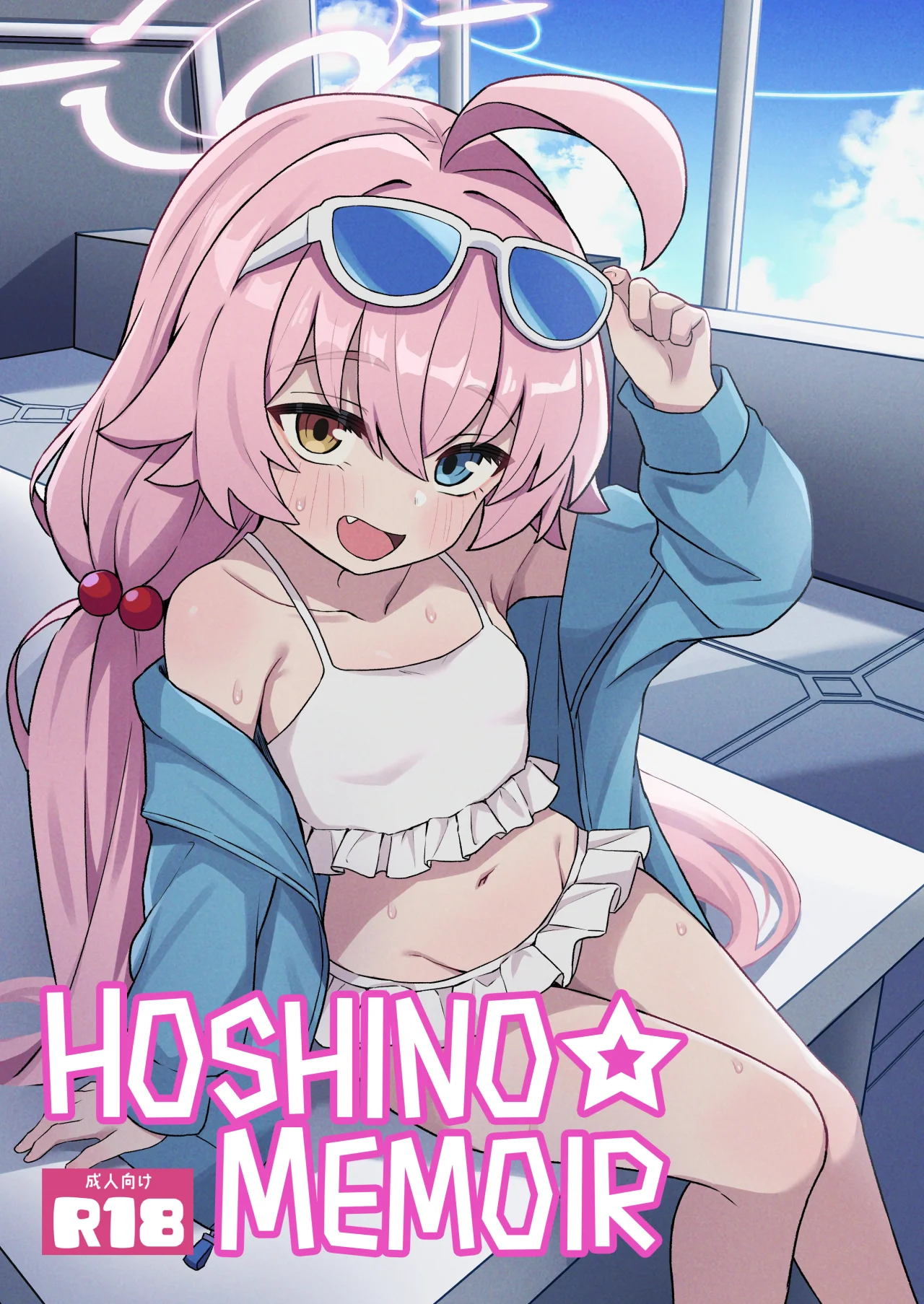 Hoshino Memoir