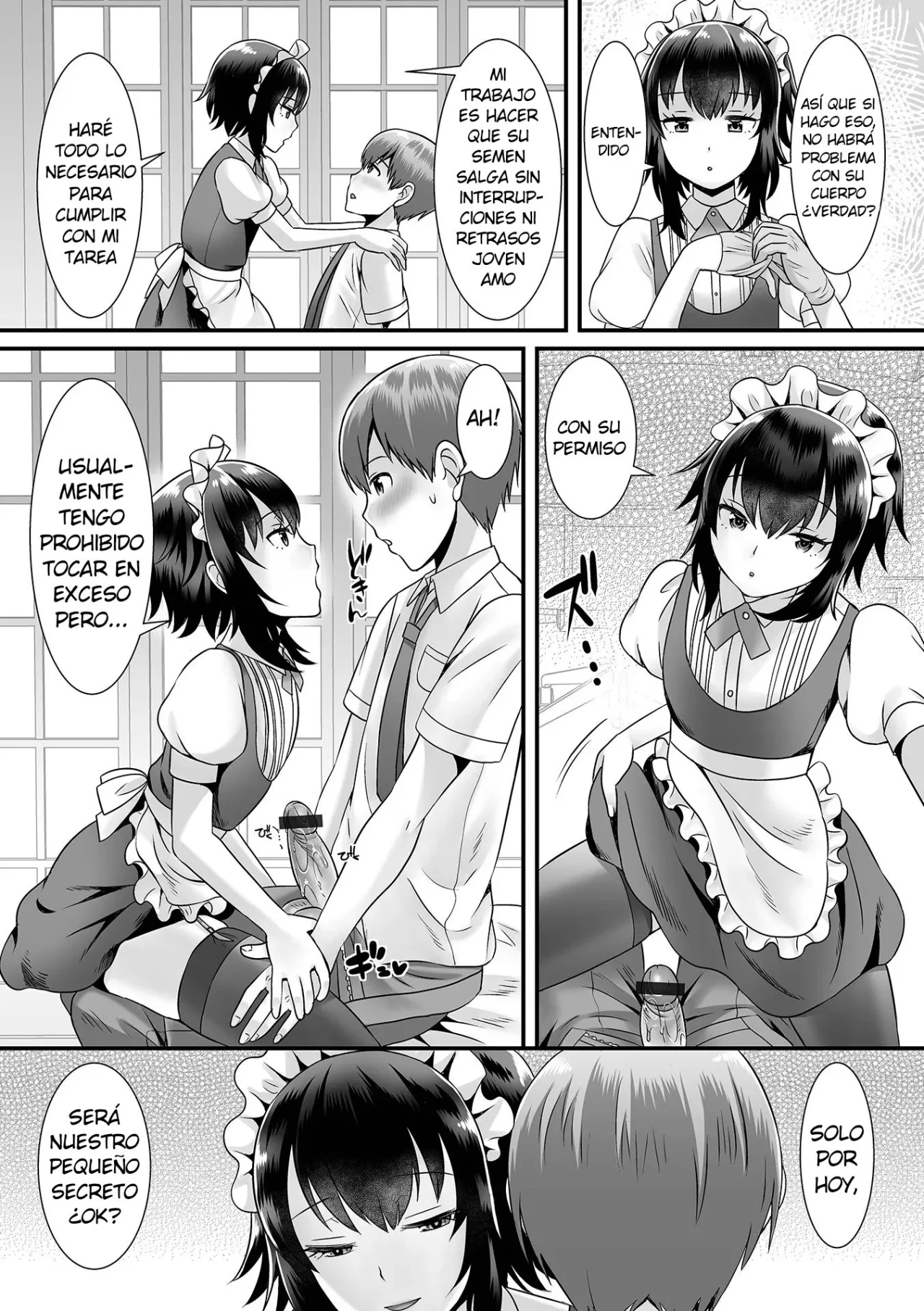 Seiki Sakushu Maid-san Oshigoto Desu Yo